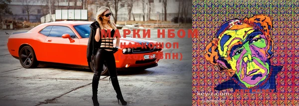 ПСИЛОЦИБИНОВЫЕ ГРИБЫ Армянск