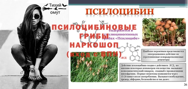 ПСИЛОЦИБИНОВЫЕ ГРИБЫ Армянск